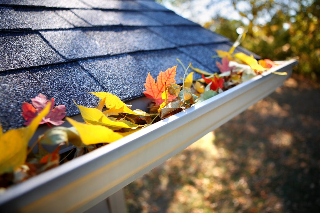 clearing your gutter