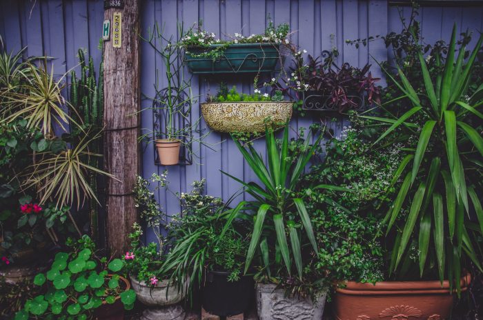 Painted Garden Fence